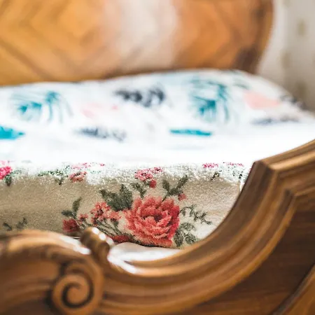 Apartamento Classical Large On Alberta Street, Free Locked Parking