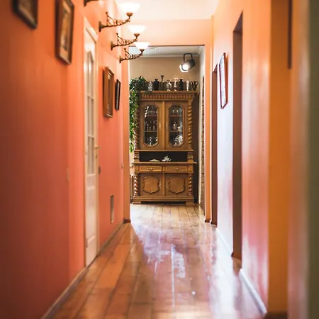 Classical Large On Alberta Street, Free Locked Parking 里加