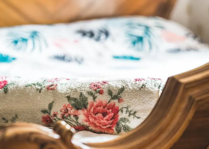 Apartment Classical Large On Alberta Street, Free Locked Parking